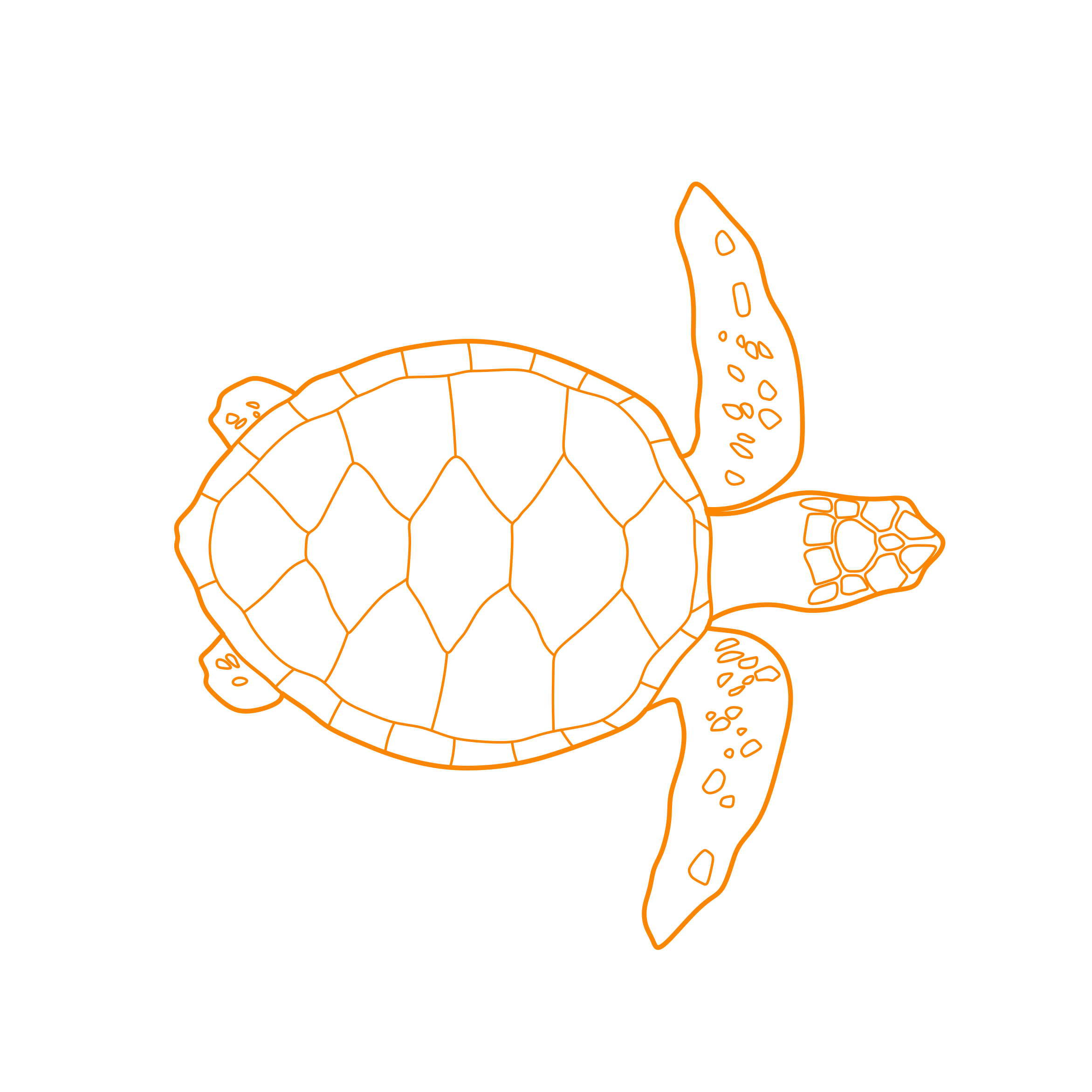 Animals Turtles Loggerhead Sea Turtle Editable Svg Line Art Free Vectors